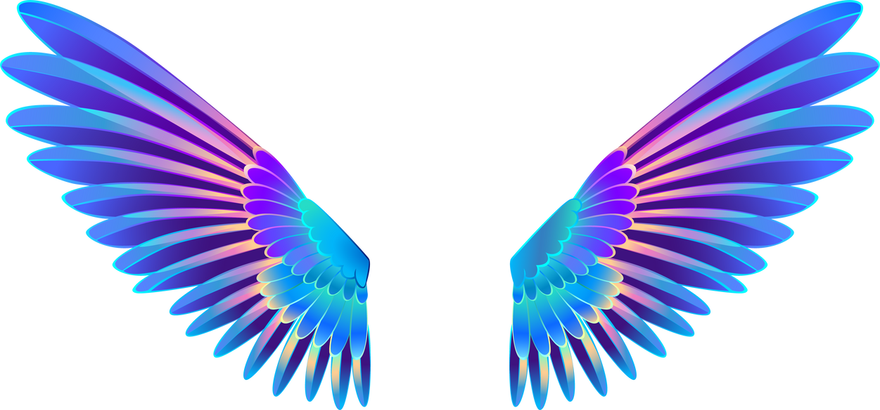 Glowing Hummingbird Wings